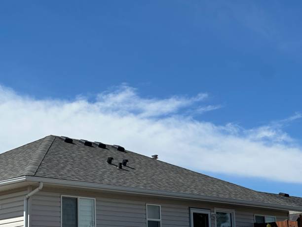 Emergency Roof Repair in Pittsville, MD